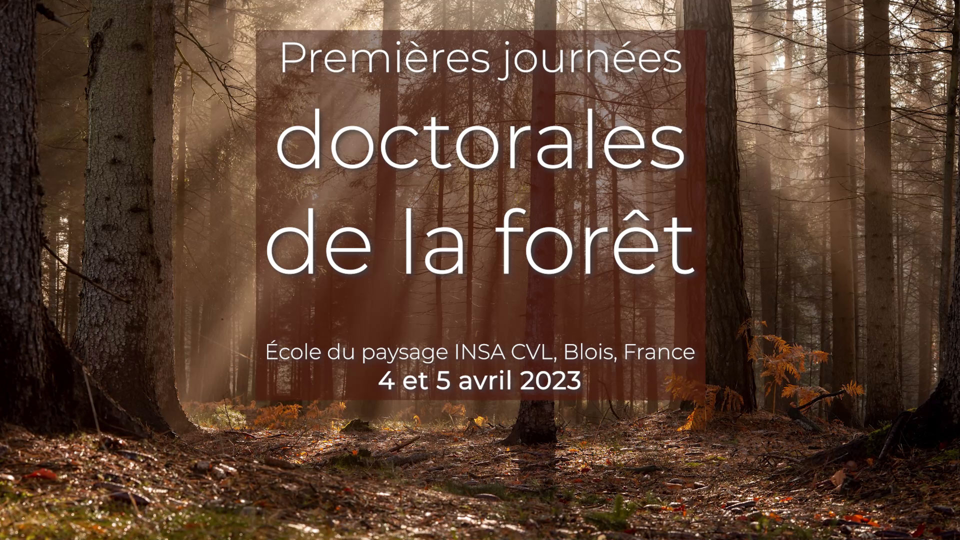 affiche doctorale